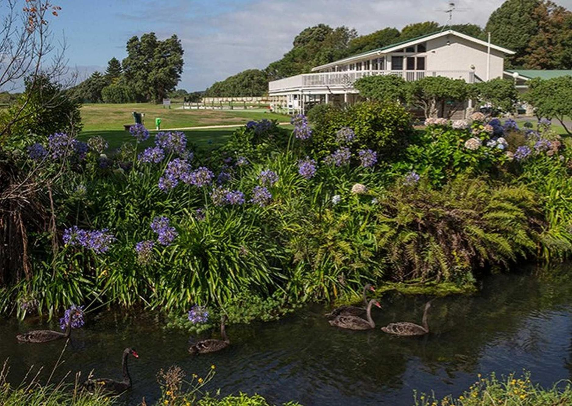 Waikanae Studio B&B Bagian luar foto
